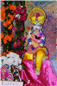 holi_nar_narayan_dev_jayanti_005.jpg